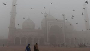 Delhi unter giftiger Dunstglocke