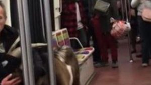 Mann mit Ziege legt Pariser Metrolinie lahm