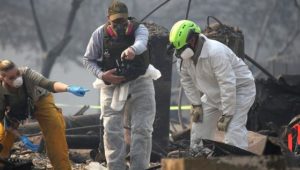 Über 1000 Vermisste nach Waldbränden in Kalifornien