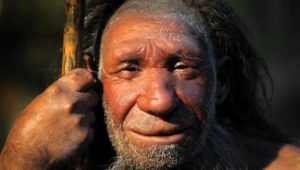 Zähne sind wie ein Archiv: Blei vergiftete schon Neandertaler