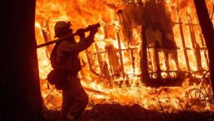 Waldbrände in Kalifornien töten neun Menschen
