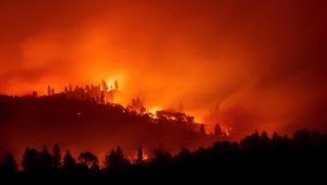Waldbrände in Kalifornien töten 23 Menschen